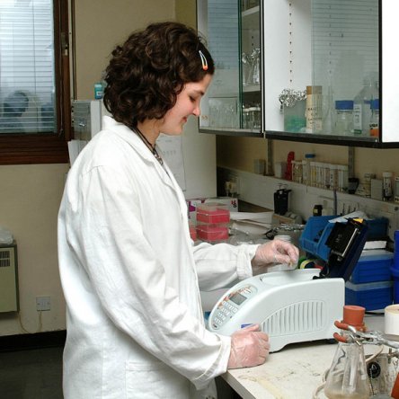 RT-PCR analysis