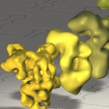 3D Structure of Spliceosomal Subunits